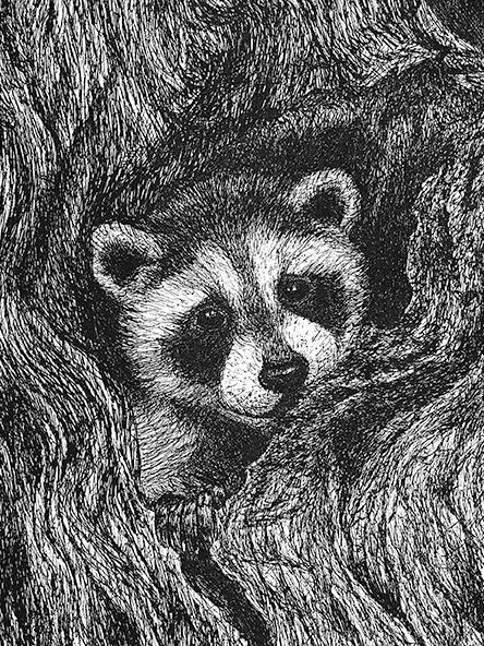 Raccoon Kit