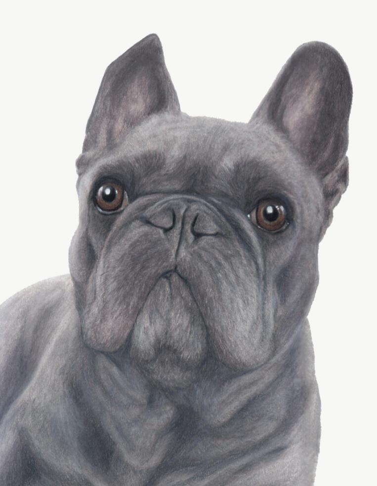 "Hugo"