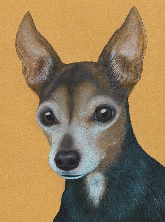 "Rambo"