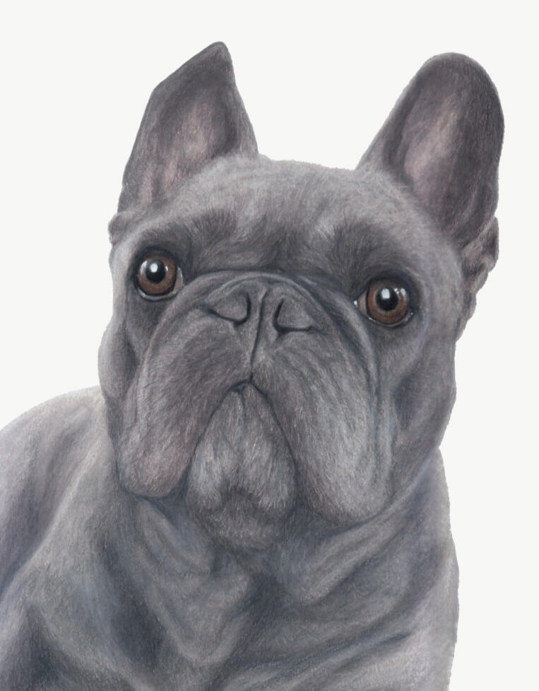 "Hugo"