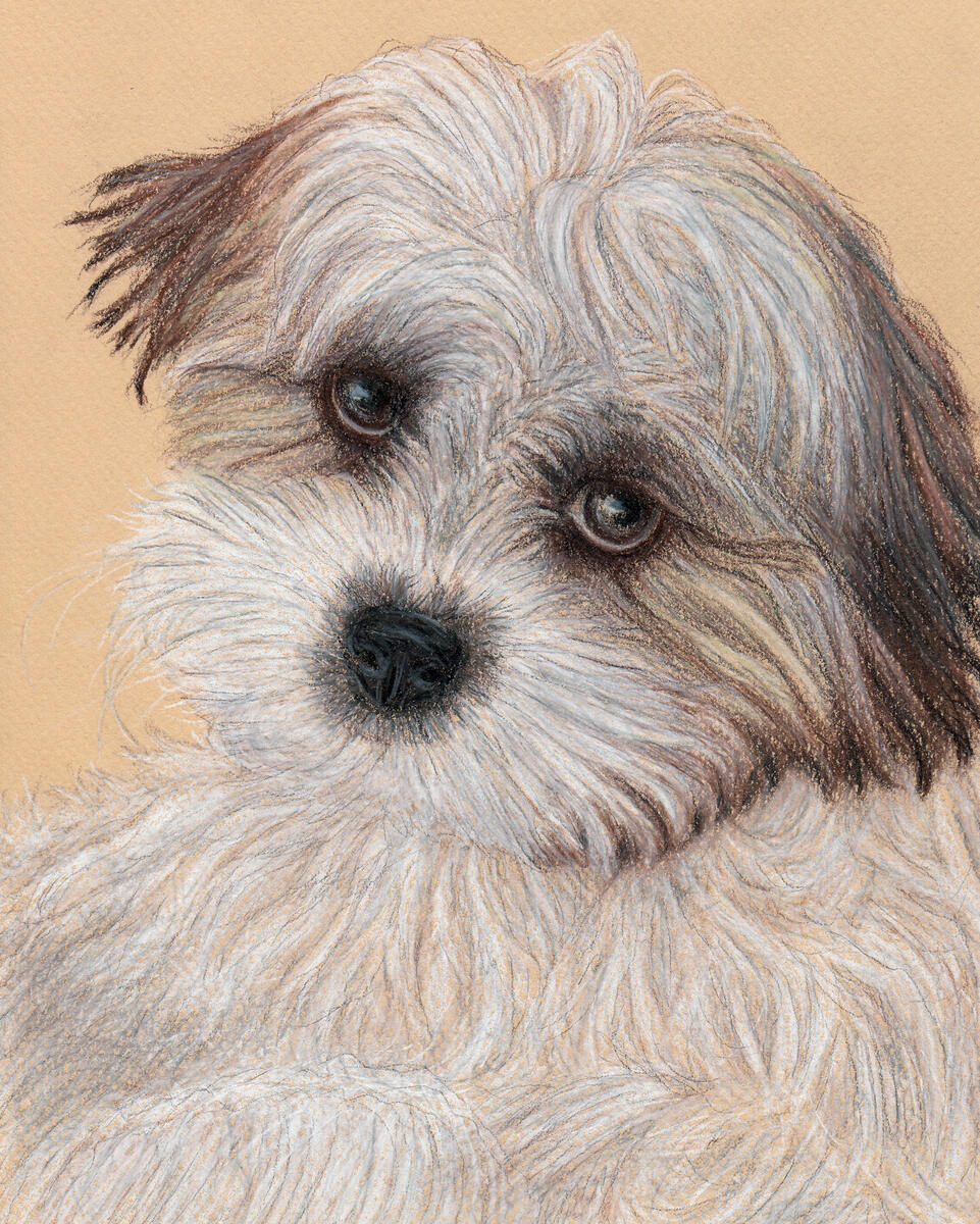 "Stella"