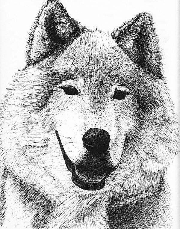 Husky
