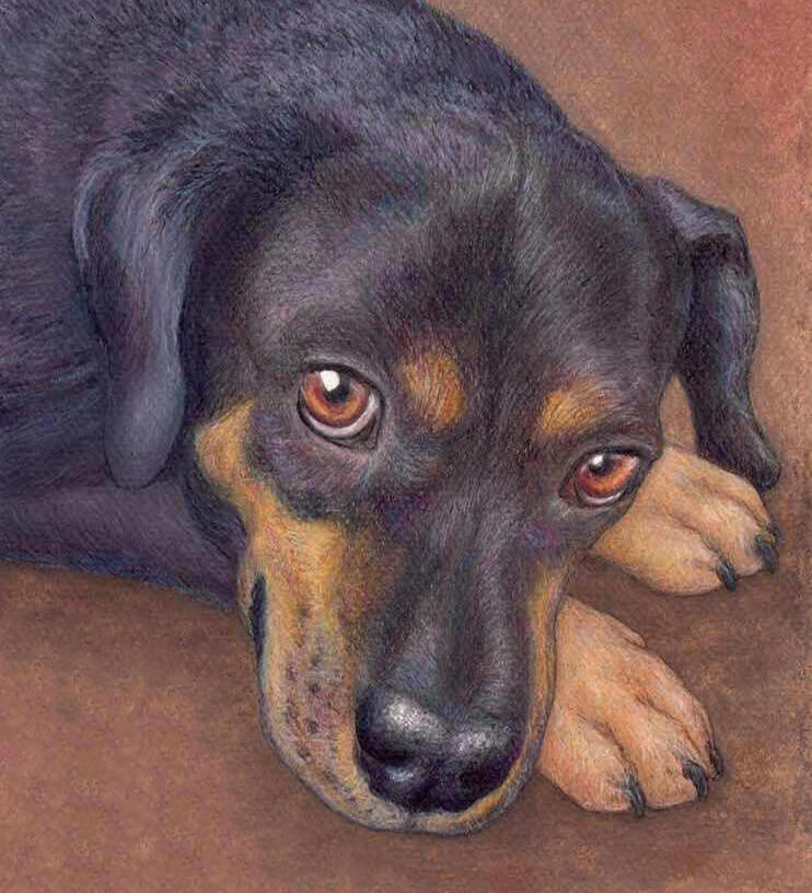 "Brutus"