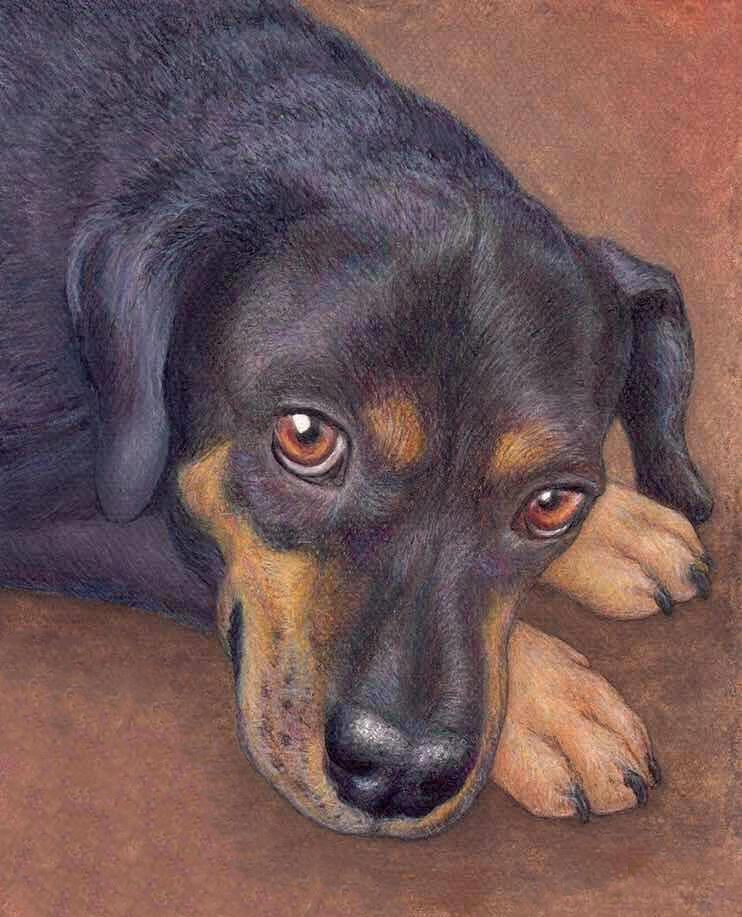 "Brutus"